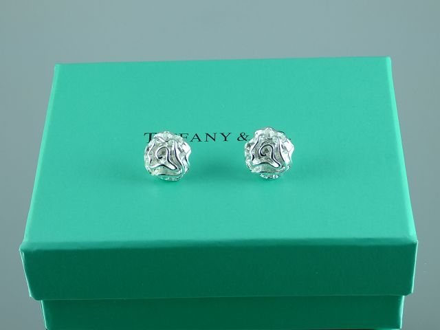 tiffany Earrings-158